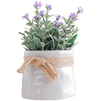 Los mejores  - iPenty Flor Artificial Estilo Rural Flor Artificial Flor Falsa Pequeños Adornos Bonsai Hogar Sala de Estar Mesa…